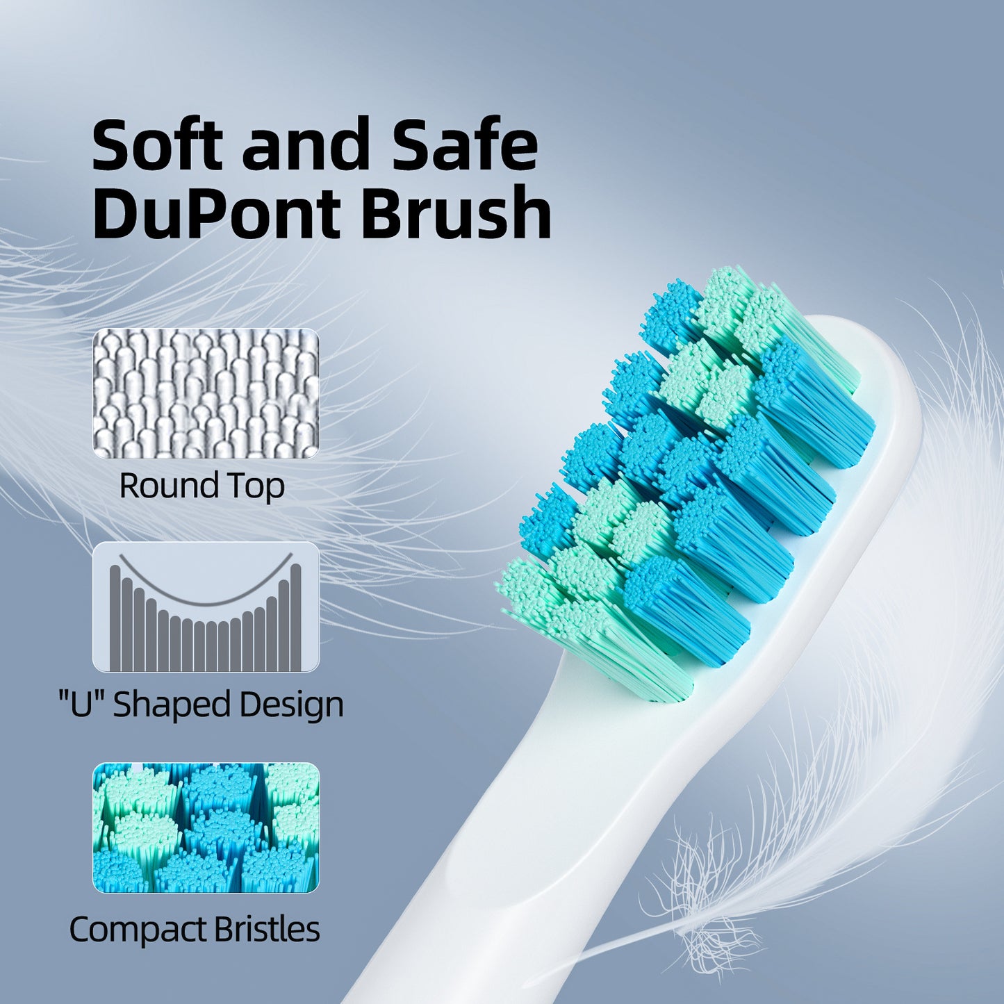 Electric Toothbrush