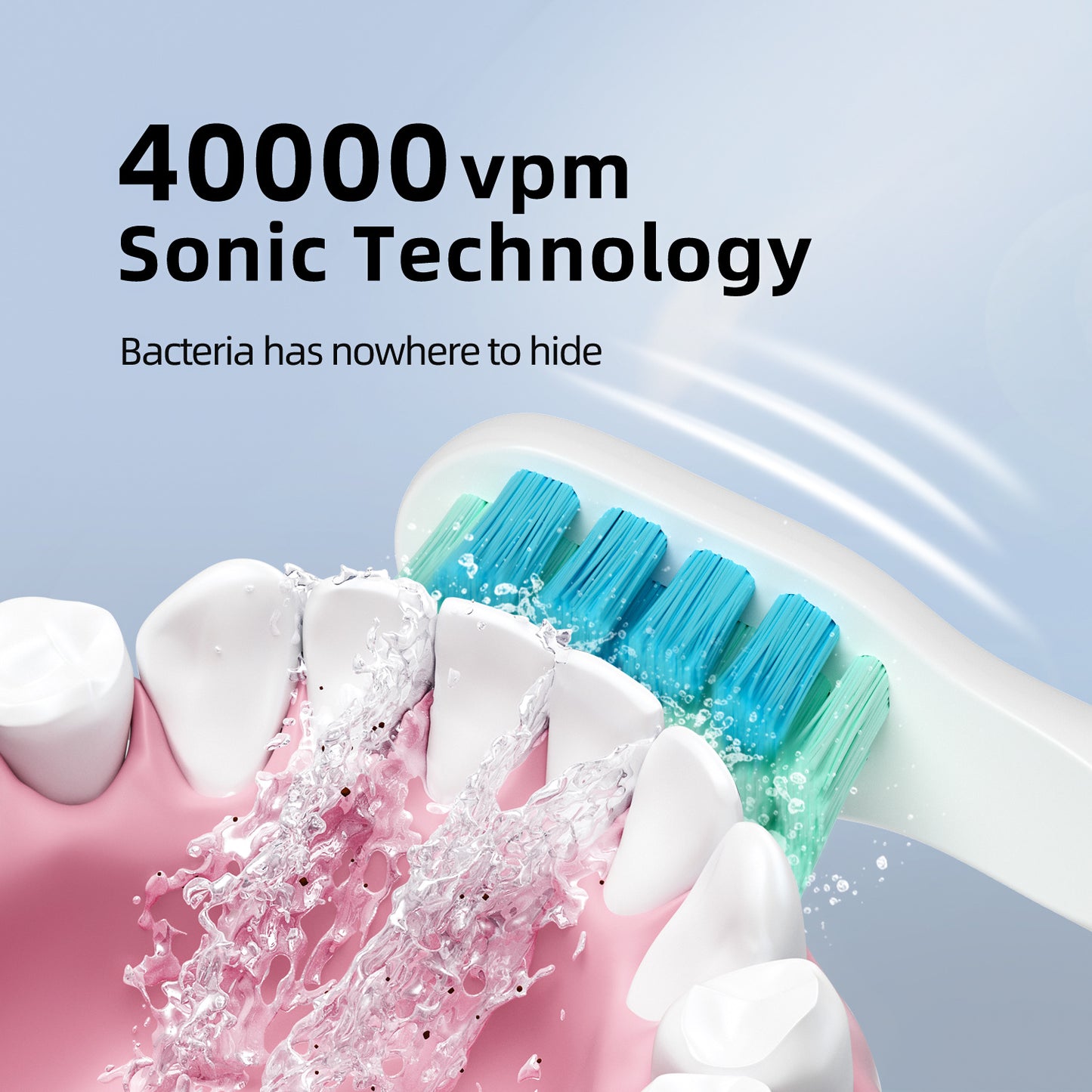 Electric Toothbrush